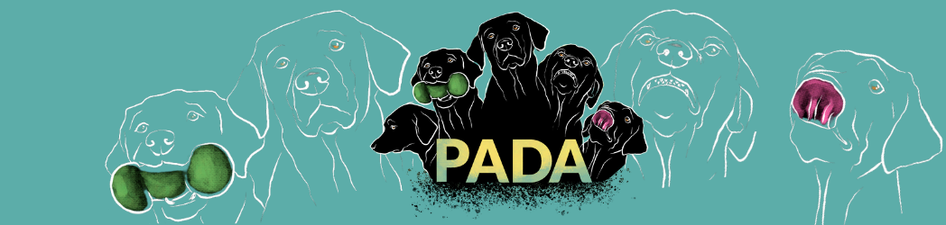 Conference: PADA & the personality of AAI dogs (recording)